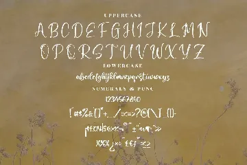 Bucket Honey Modern Script Font
