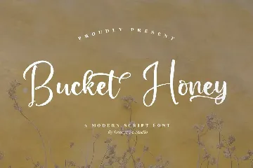 Bucket Honey Modern Script Font