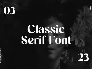 The Bigmouth Classic Serif Display Font