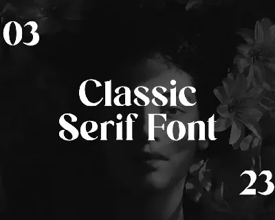 The Bigmouth Classic Serif Display Font