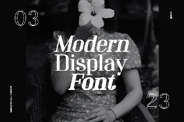 Mechanized Serif Display Family Font