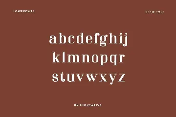 Mechanized Serif Display Family Font