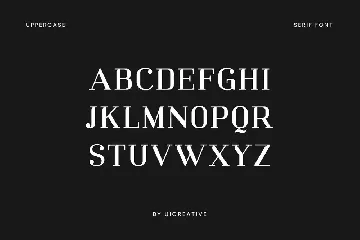 Mechanized Serif Display Family Font