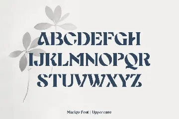 Marigo font