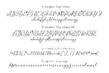 Shanghai Signature font