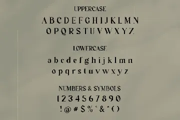 Modern Serif Font