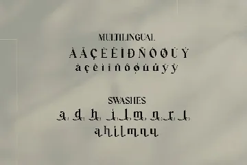 Modern Serif Font