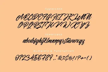 Panbers Script Font