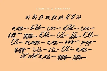 Panbers Script Font