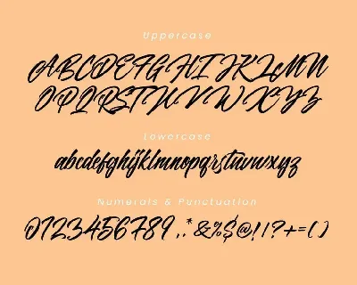 Panbers Script Font