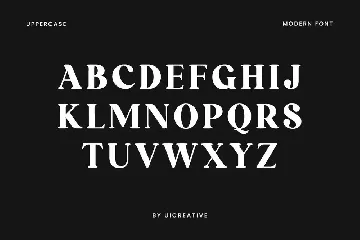 Retrograde Modern Retro Serif Font