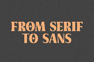 Griggs Variable Typeface font