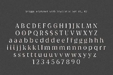 Griggs Variable Typeface font