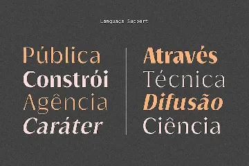 Griggs Variable Typeface font