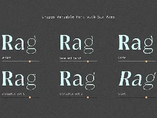 Griggs Variable Typeface font