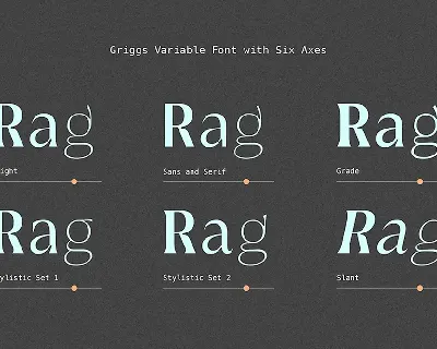 Griggs Variable Typeface font