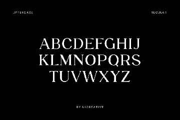 Dropkicker Serif Family Font