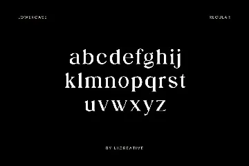 Dropkicker Serif Family Font