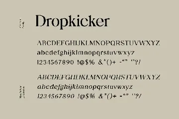 Dropkicker Serif Family Font