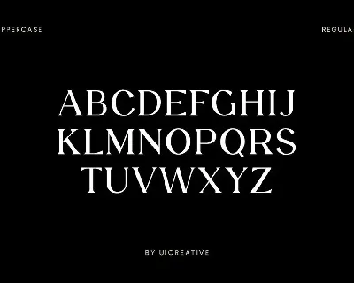 Dropkicker Serif Family Font