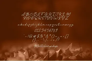 Autumn Wind font