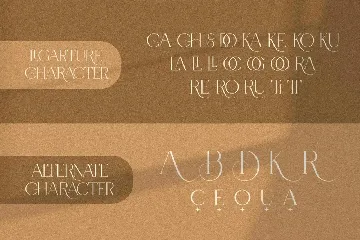 Carlly | Modern Elegant font