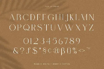Carlly | Modern Elegant font