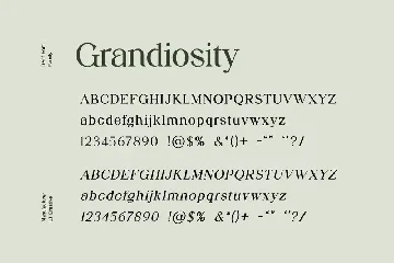 Grandiosity Serif Family Font