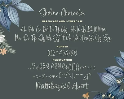 Shelina Beauty Script Font
