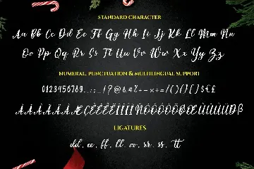 Sparkling Christmas - Modern Script Font