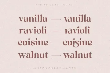Vanilla Ravioli | Chic Ligature Font