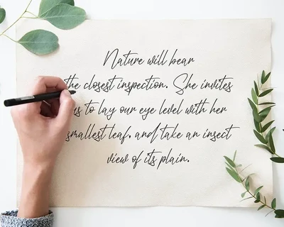 Antemian Classy Signature Font