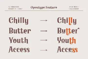 Kareth â€“ Classic Serif font