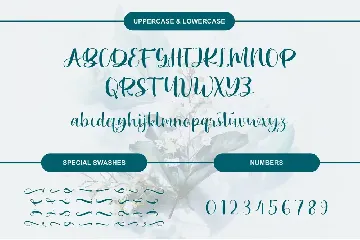 HALEEZA - Elegant Script Font