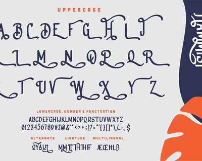 Hammist | A Stylish Serif Font