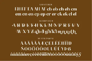 Achemost A Modern Typeface Font