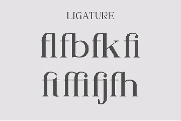 OSIKE - A Modern Serif font