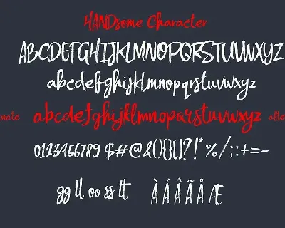 Handsome Brush Font