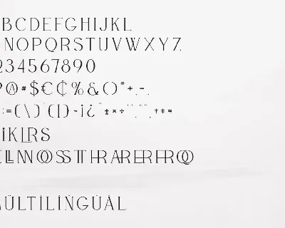 Willson - Modern Serif Font