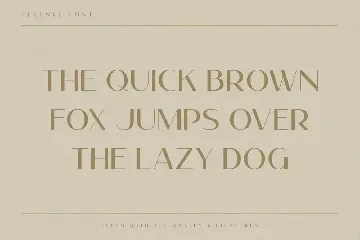 Fluence I Elegant Sans Serif Font