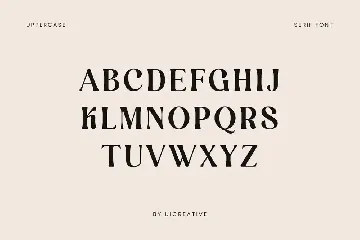 RETROACTIVE Modern Retro Serif Font