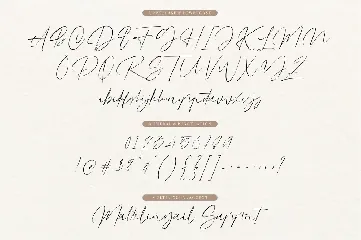 Dutchly - Modern Handwritten font