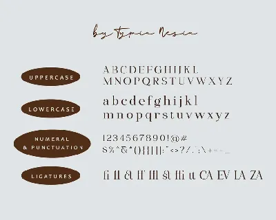 Gizacake - Elegant and Fancy Modern Serif font