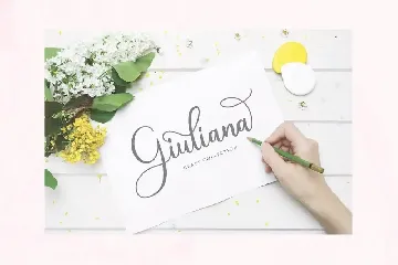 Andina - Modern Script Font