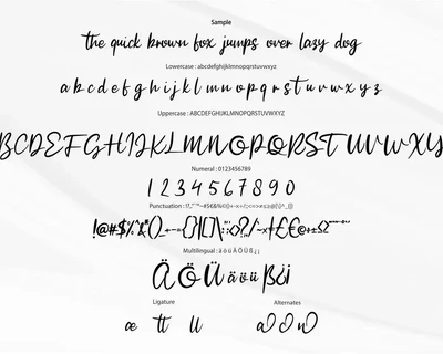Cafesen | Modern Script Font