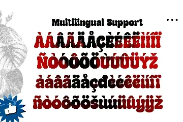 Mianga font