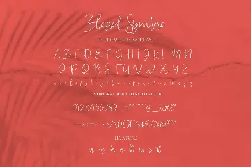 Blessed Signature - Handwritten Script fonts