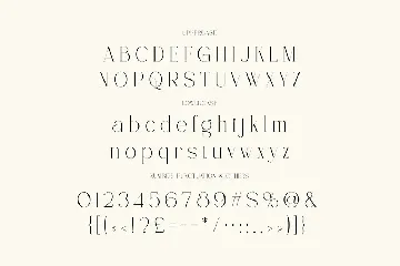 Shaun Gilchrist Luxury Serif font