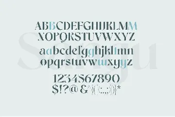 Sangu Sophisticated Serif font