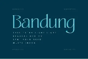 Sangu Sophisticated Serif font